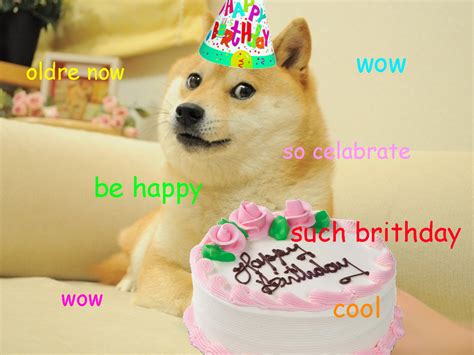 Doge Birthday Funny Picture Quotes Picture Quotes Funny Pictures