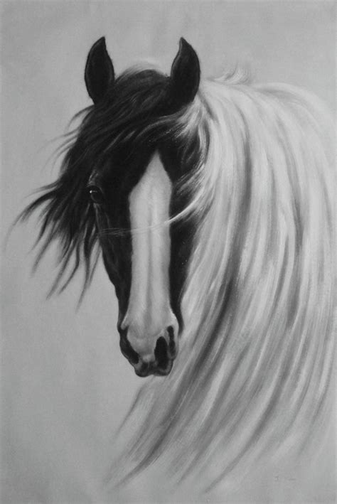 Gorgeous Black White Horse With Long And Flowing White Manes Oil