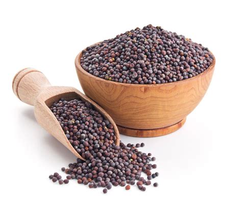 Mustard Seeds Facts Health Benefits And Nutritional Value