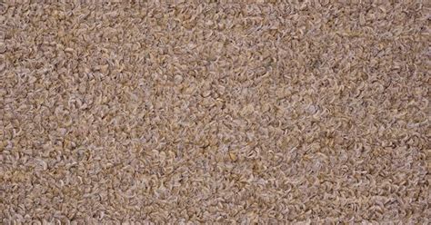 High Resolution Textures Light Brown Carpet Texture