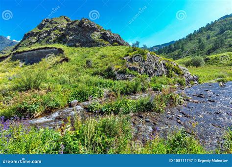 River Chobe Chemal Gorny Altai Siberia Russia Stock Image Image
