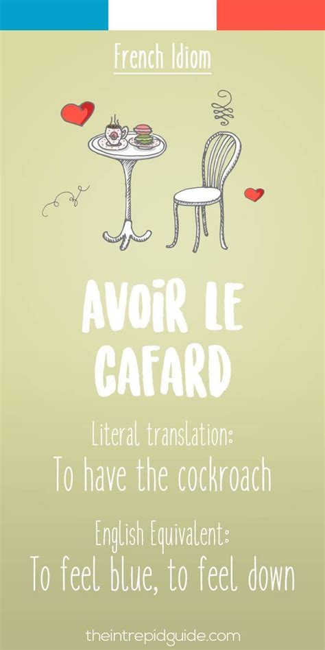 25 Funny French Idioms And Expressions Youll Love Using Learn French