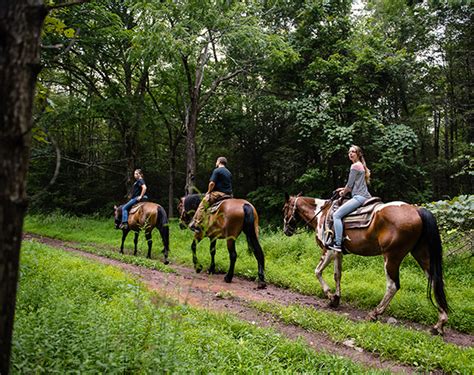Horse Riding Stables In Pa And Horseback Riding Near Nyc