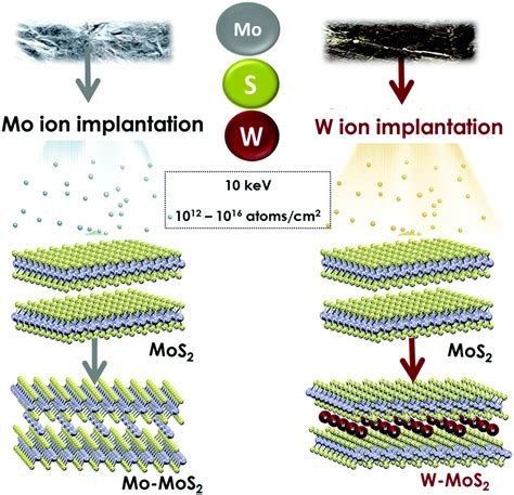 Ion Implantation Damage