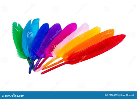Multicolor Feathers Isolated On The White Background Stock Image