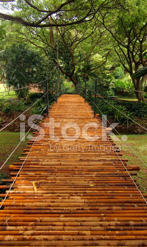 Bamboo Bridge Stock Photo Royalty Free Freeimages