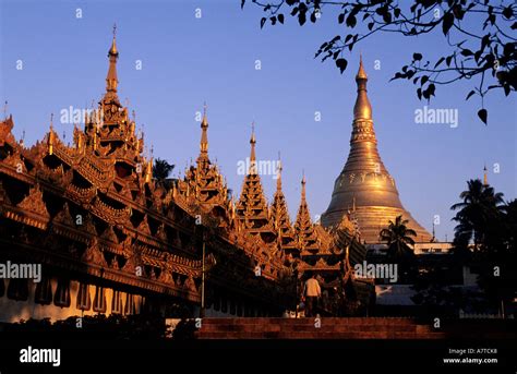 Myanmar Burma Yangon Division Yangon Rangoon Shwedagon Pagoda