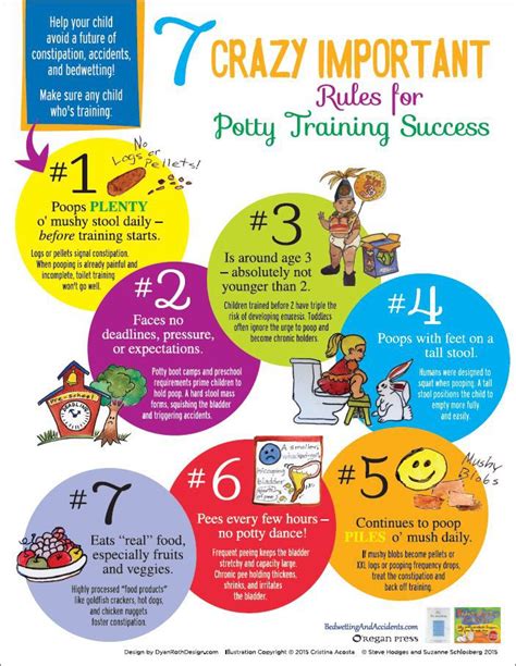 7 Crazy Important Rules For Potty Training Success Parents