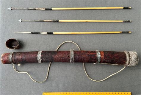 Composition Of Bushman Arrows Bushguide 101