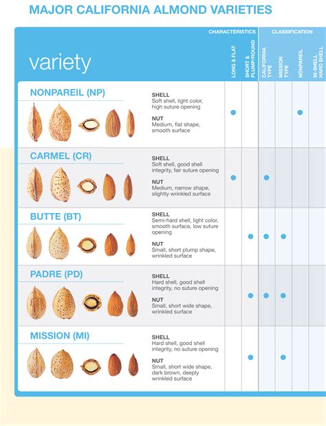 Types Of California Almonds