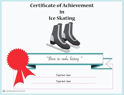 Certificate Of Achievement In Ice Skating Certificate Of Achievement