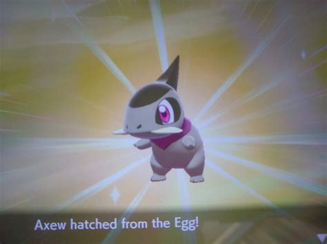 SHINY AXEW AFTER ONLY 8 EGGS HATCHED Pokemon Sword Shield Fans Amino
