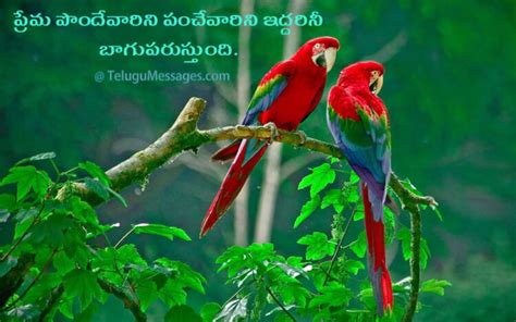 Love Birds Images With Quotes In Telugu Good Morning Quotes In Telugu