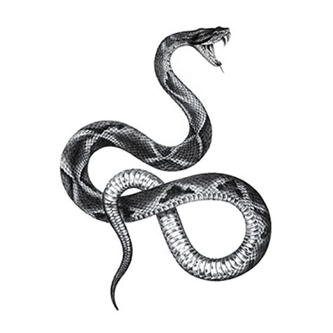 Realistic Snake Tattoo Ubicaciondepersonascdmxgobmx