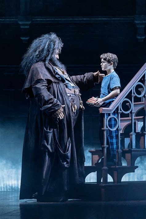 All the books were best sellers, available in more than 200 countries and some 60 languages. Theater Round-Up: Music of "Cursed Child" on vinyl and a ...