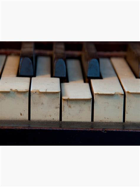 Old Schultz Chipped Piano Keys Photographic Print For Sale By Visual