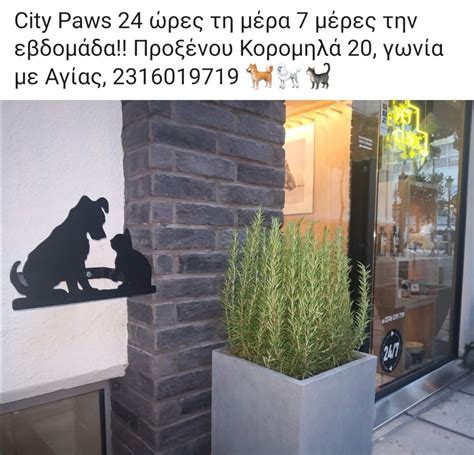 Μισθωτοί και αυτοτελώς εργαζόμενοι (αε). ΠΡΟΣΦΟΡΑ ΑΠΟ ΚΤΗΝΙΑΤΡΕΙΟ ''City Paws'' - estiatriteknonthessalonikis.gr
