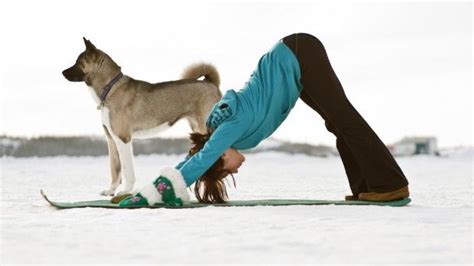 Our Favourite Yoga Postures Named After Animals Steven And Chris
