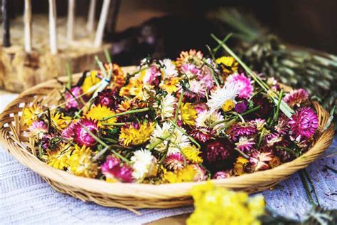 The Best Methods For Drying Flowers And Which Plants Work Best