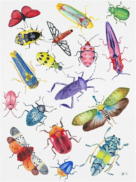 Pin By Jen Motush On Art Insect Art Bug Art Bugs Drawing