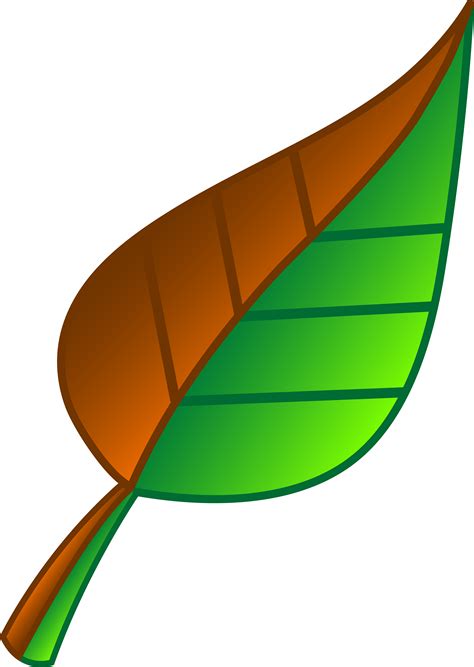 Free Leaves Cartoon Download Free Leaves Cartoon Png Images Free