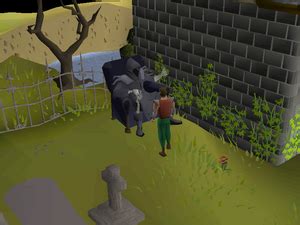 Do the event without thinking optional items: Osrs Halloween 2020 Wiki | Christmas 2020