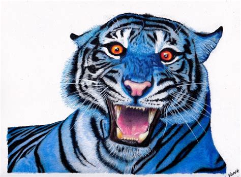 Check spelling or type a new query. Prismacolor pencil drawing of Ana the Sumatran Tiger. Made this as a gift. | Sumatran tiger ...