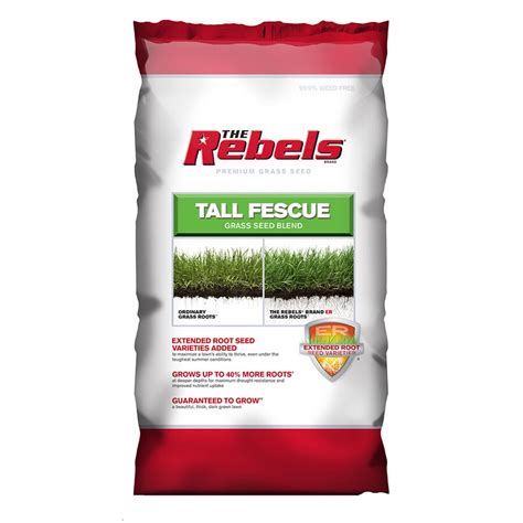 Shop Rebel Premium 40 Lb Tall Fescue Grass Seed At