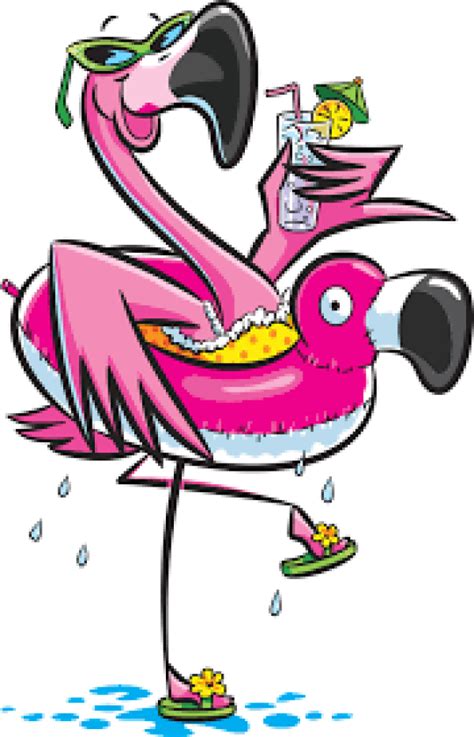 Picture 2708952 Flamingo Clipart Silly Flamingo Art Flamingo