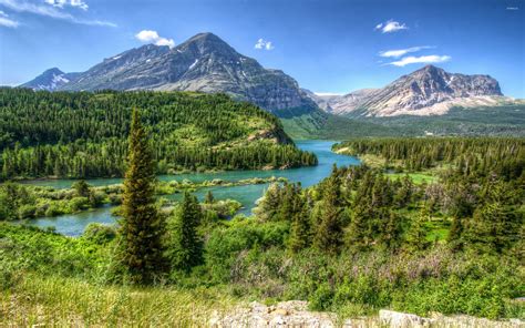 Amazing Green Forest In Glacier National Park Wallpaper Glacier