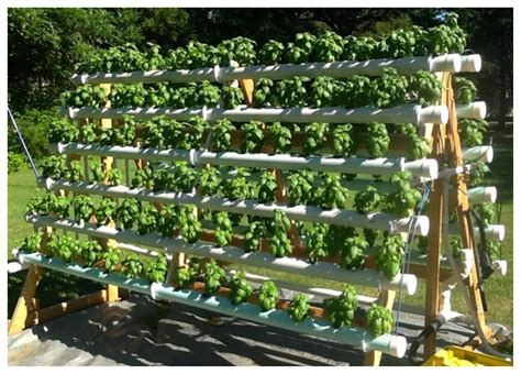 A Frame Hydroponic System 10 Step Space Saving Solution