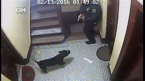 Nypd Officer Fatally Shoots Dog Owner Plans To Sue Video Abc News