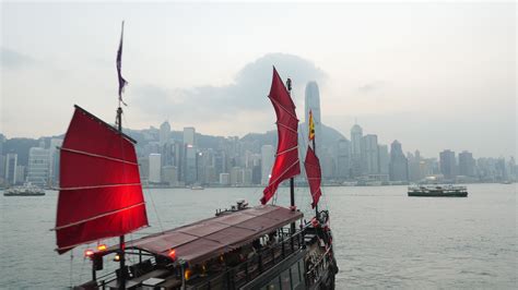 Sep 13, 2020 · covid update: Junket in the harbor (With images) | Travel, Golden gate ...