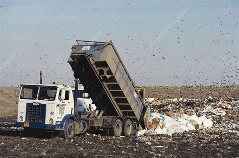 Dumping Garbage Into Landfill Stock Image C0121563 Science Photo