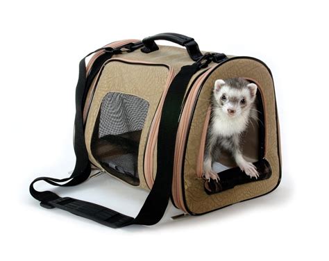 This is a fun and excellent way to transport your small pet. 11 Of The Best Travel Carriers For Dogs