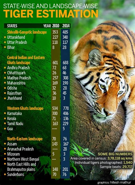 Nature Alerte Inde Le Nombre De Tigres A Augment De