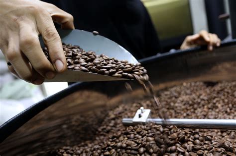 Tahun Ini Indonesia Ekspor Biji Kopi Dan Kakao Ke Jepang Senilai Rp6 6