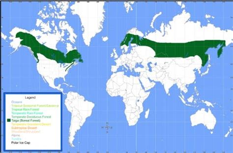 Boreal Forest Biomes Of The World