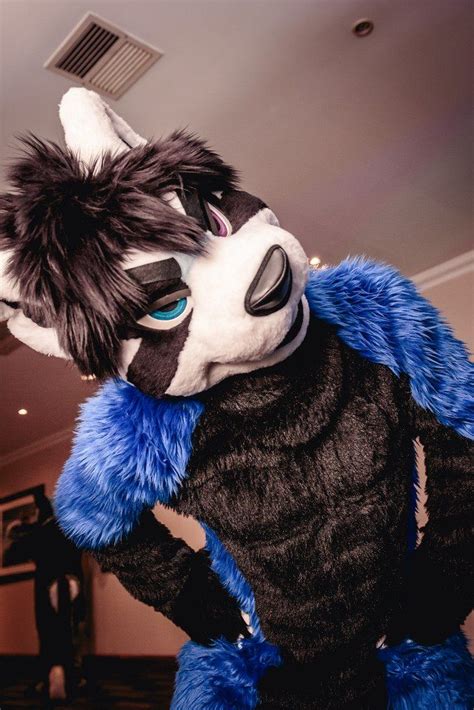 Black And Blue Fursuit Furry Furry Suit Cute Cosplay