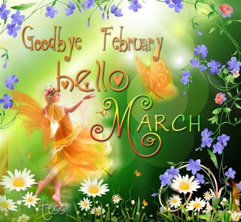 Goodbye February Hello March Quotes And Images