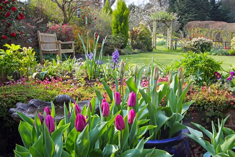 6 Tips For A Better Spring Flower Garden