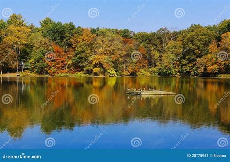 The Lake Against Autumn Beautiful Trees Stock Image Image Of Wefts
