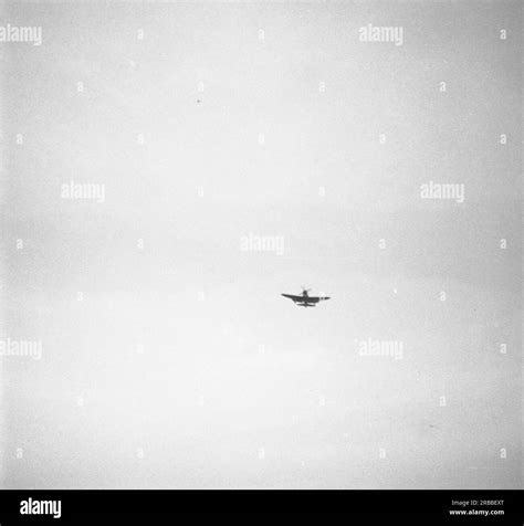 P-47D Thunderbolt Razorback - USAAF United States Army Air Force