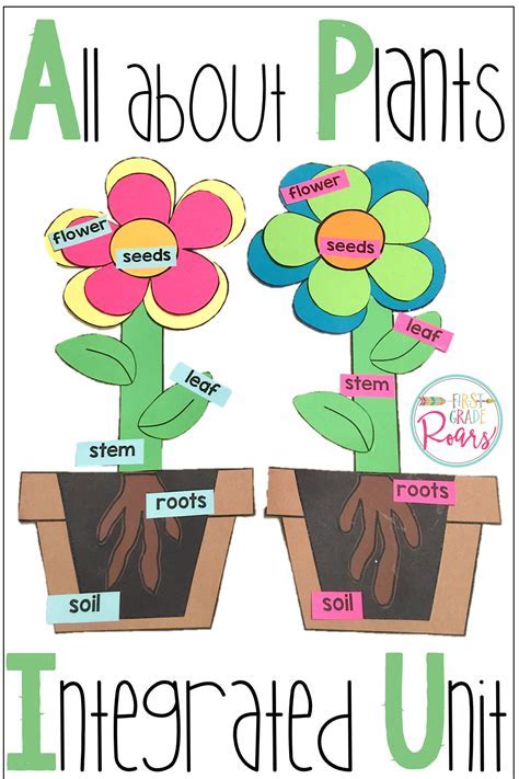 Ece Lesson Plans Paper Plants Lesson Plan Coloring Pages Ojuselementary