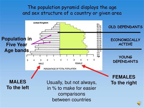 Ppt The Population Pyramid Displays The Age And Sex Structure Of A