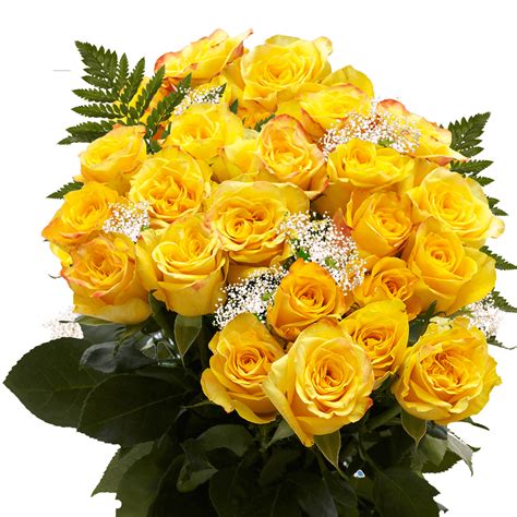 Large Yellow Roses Bouquet Two Dozen Stems | GlobalRose