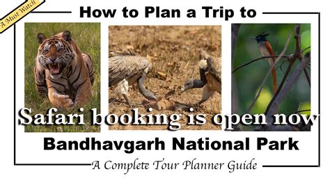 Complete Guide For Bandhavgarh National Park Safari Book Safari