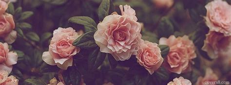 Yritä uudelleen tai käy twitterin tilasivulla saadaksesi lisätietoja. Vintage Roses | Facebook Cover for Timeline | Facebook cover photos flowers, Facebook cover ...