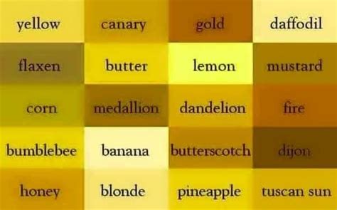 Color Name Yellow Papan Warna Warna Nama