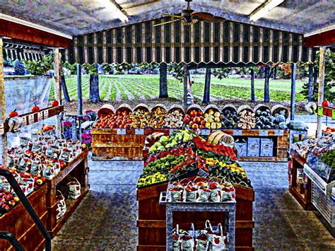 Country Farm Store Free Stock Photo Public Domain Pictures